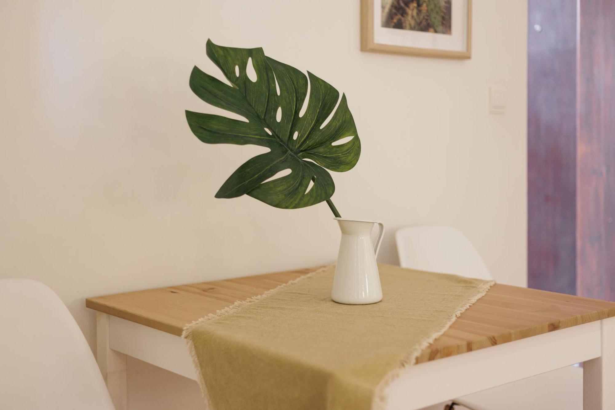 Aloe Apartments Corfu  Pokoj fotografie